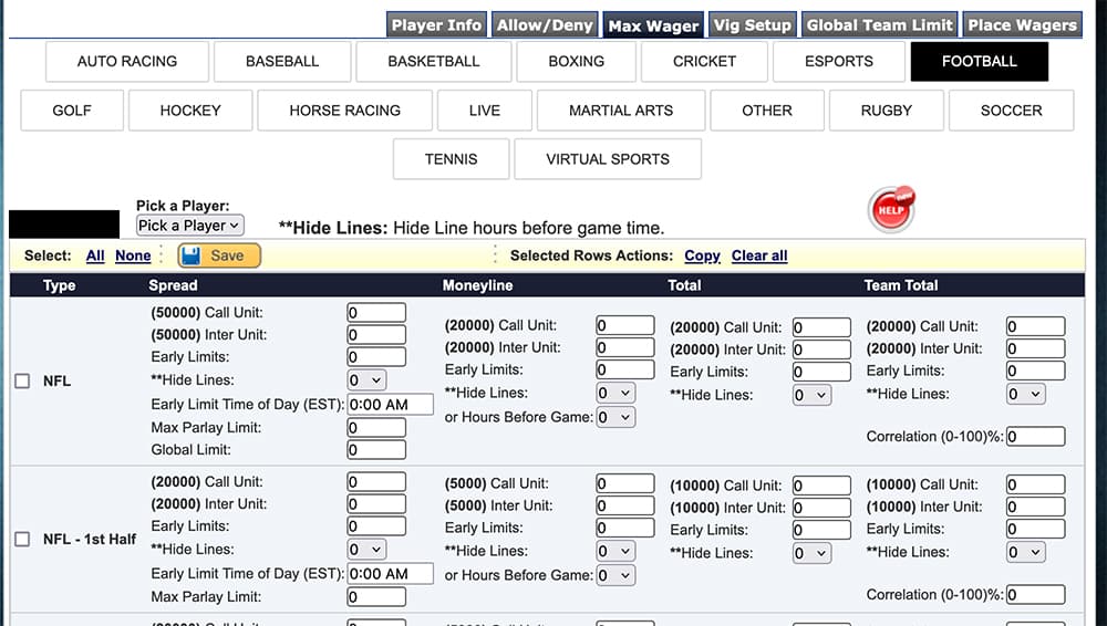 The "max wager" screen