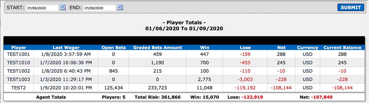 Player totals report at Aceperhead.com pay per head service