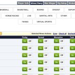 allow deny sports using pay per head sportsbook tools